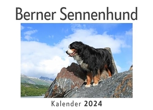 Müller, Anna. Berner Sennenhund (Wandkalender 2024, Kalender DIN A4 quer, Monatskalender im Querformat mit Kalendarium, Das perfekte Geschenk). 27amigos, 2023.