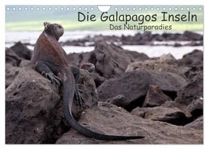 Neetze, Akrema-Photography. Die Galapagos Inseln - Das Naturparadies (Wandkalender 2024 DIN A4 quer), CALVENDO Monatskalender - Tiere und Landschaften der Galapagos Inseln. Calvendo Verlag, 2023.