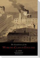 The Condition of the Working-Class in England in 1844