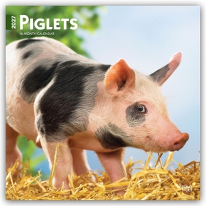 Publishers, Browntrout. Piglets - Ferkel 2027 - 16-Monatskalender - Original BrownTrout-Kalender [Mehrsprachig] [Kalender]. Browntrout Verlags GmbH, 2026.
