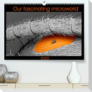 Our fascinating microworld (Premium, hochwertiger DIN A2 Wandkalender 2022, Kunstdruck in Hochglanz)