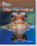 Weird Little Monsters