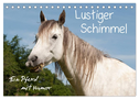 Lustiger Schimmel - ein Pferd mit Humor (Tischkalender 2024 DIN A5 quer), CALVENDO Monatskalender