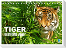 Tiger: Gestreifte Jäger (Tischkalender 2025 DIN A5 quer), CALVENDO Monatskalender