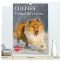 Collies - Freunde für´s Leben (hochwertiger Premium Wandkalender 2025 DIN A2 hoch), Kunstdruck in Hochglanz