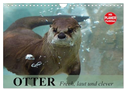 Otter. Frech, laut und clever (Wandkalender 2025 DIN A4 quer), CALVENDO Monatskalender
