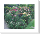 Im Rosengarten 2027
