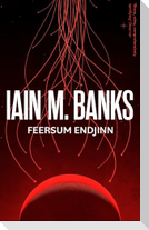 Feersum Endjinn