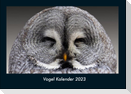 Vogel Kalender 2023 Fotokalender DIN A4