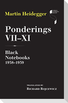 Ponderings VII-XI