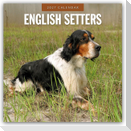 English Setters - Englisch Setter 2027 - 16-Monatskalender