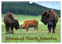 Bisons of North America (Wall Calendar 2024 DIN A4 landscape), CALVENDO 12 Month Wall Calendar