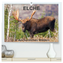 ELCHE In den nördlichen Wäldern (hochwertiger Premium Wandkalender 2025 DIN A2 quer), Kunstdruck in Hochglanz