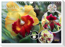 Prächtige Orchideen (Wandkalender 2025 DIN A4 quer), CALVENDO Monatskalender