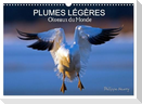 PLUMES LÉGÈRES. Oiseaux du Monde (Calendrier mural 2025 DIN A3 vertical), CALVENDO calendrier mensuel