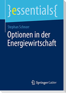 Optionen in der Energiewirtschaft