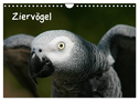 Ziervögel (Wandkalender 2025 DIN A4 quer), CALVENDO Monatskalender