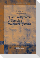 Quantum Dynamics of Complex Molecular Systems