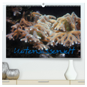 Unterwasserwelt (hochwertiger Premium Wandkalender 2024 DIN A2 quer), Kunstdruck in Hochglanz