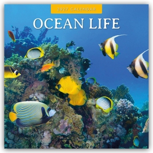 Red, Robin. Ocean Life - Leben im Ozean 2027 - 16-Monatskalender - Original Red Robin Publishing Ltd-Kalender [Mehrsprachig] [Kalender]. Browntrout Verlags GmbH, 2026.