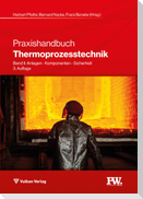 Praxishandbuch Thermoprozesstechnik Band II