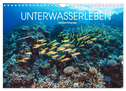 Unterwasserleben (Wandkalender 2024 DIN A4 quer), CALVENDO Monatskalender