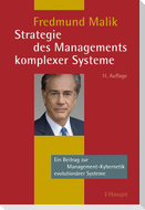 Strategie des Managements komplexer Systeme