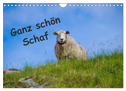 Ganz schön Schaf (Wandkalender 2024 DIN A4 quer), CALVENDO Monatskalender