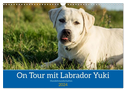 On Tour mit Labrador Yuki (Wandkalender 2024 DIN A3 quer), CALVENDO Monatskalender