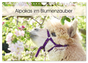 Alpakas im Blumenzauber (Wandkalender 2024 DIN A4 quer), CALVENDO Monatskalender