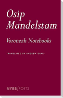 The Voronezh Notebooks