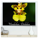 Wunderbare Orchideen (hochwertiger Premium Wandkalender 2025 DIN A2 quer), Kunstdruck in Hochglanz