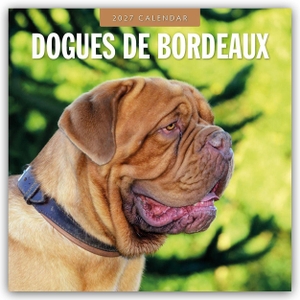 Red, Robin. Dogues de Bordeaux - Bordeauxdoggen - Bordeaux Doggen 2027 - 16-Monatskalender - Original Red Robin Publishing Ltd-Kalender [Mehrsprachig] [Kalender]. Browntrout Verlags GmbH, 2026.