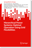 Hierarchical Power Systems: Optimal Operation Using Grid Flexibilities