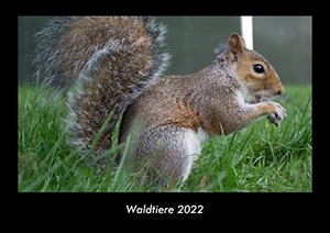 Tobias Becker. Waldtiere 2022 Fotokalender DIN A3 - Monatskalender mit Bild-Motiven von Haustieren, Bauernhof, wilden Tieren und Raubtieren. Vero Kalender, 2022.