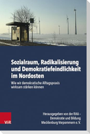 Sozialraum, Radikalisierung und Demokratiefeindlichkeit im Nordosten
