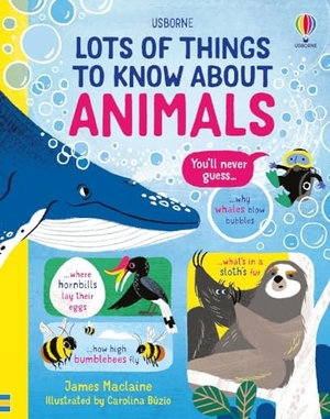 Maclaine, James. Lots of Things to Know About Animals. Usborne Publishing Ltd, 2022.