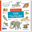 Mein kleines buntes Bildwörterbuch: Viele Tierkinder