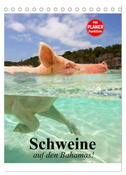 Schweine auf den Bahamas! (Tischkalender 2024 DIN A5 hoch), CALVENDO Monatskalender