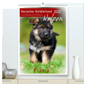 Deutscher Schäferhund - Welpen, Planer (hochwertiger Premium Wandkalender 2025 DIN A2 hoch), Kunstdruck in Hochglanz