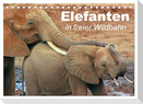 Elefanten in freier Wildbahn (Tischkalender 2025 DIN A5 quer), CALVENDO Monatskalender