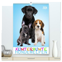 Kunterbunte Hundewelpen (hochwertiger Premium Wandkalender 2024 DIN A2 hoch), Kunstdruck in Hochglanz