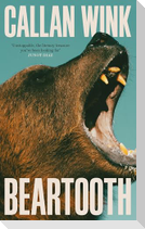 Beartooth