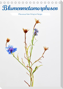 Blumenmetamorphosen (Tischkalender 2023 DIN A5 hoch)