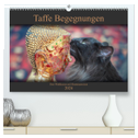 Taffe Begegnungen-Drei Waldkatzen auf Abenteuerreisen (hochwertiger Premium Wandkalender 2024 DIN A2 quer), Kunstdruck in Hochglanz