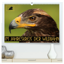 Im Jahreskreis der Wildbahn (hochwertiger Premium Wandkalender 2024 DIN A2 quer), Kunstdruck in Hochglanz