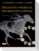Diagnostic and Surgical Arthroscopy in the Horse