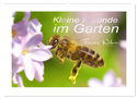 Kleine Freunde im Garten (Wandkalender 2024 DIN A2 quer), CALVENDO Monatskalender