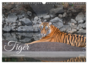 Tiger von Ranthambore (Wandkalender 2025 DIN A3 quer), CALVENDO Monatskalender