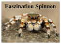 Faszination Spinnen (Wandkalender 2024 DIN A3 quer), CALVENDO Monatskalender